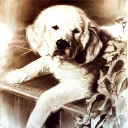 Originale von Michailidis