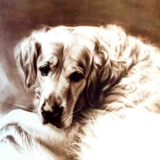 Originale von Michailidis